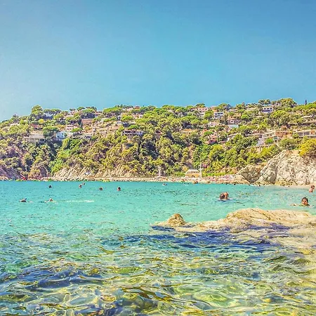 Amazing In W/ Wifi, Outdoor Swimming Pool And 3 Bedrooms Apartment Lloret de Mar
