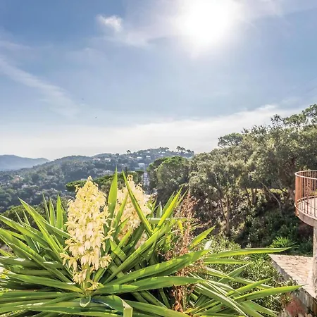 Amazing In W/ Wifi, Outdoor Swimming Pool And 3 Bedrooms *